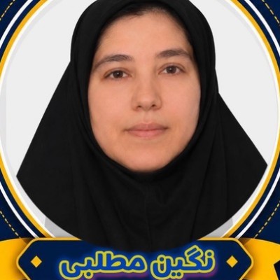 نگین مطلبی